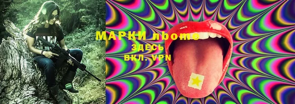 твердый Володарск