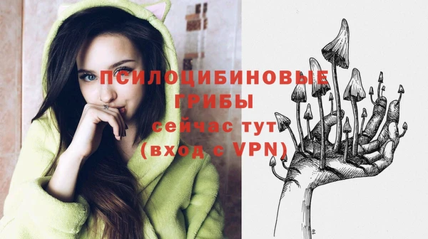 СК Верхний Тагил