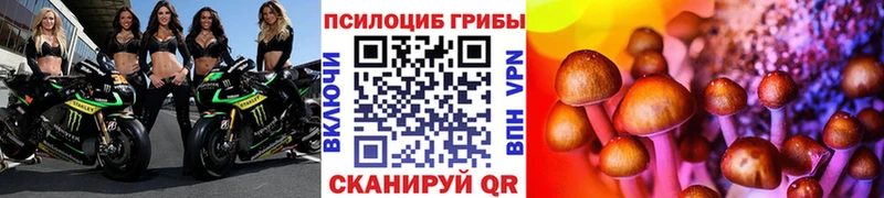 гидра ТОР  Лодейное Поле  Галлюциногенные грибы мицелий 